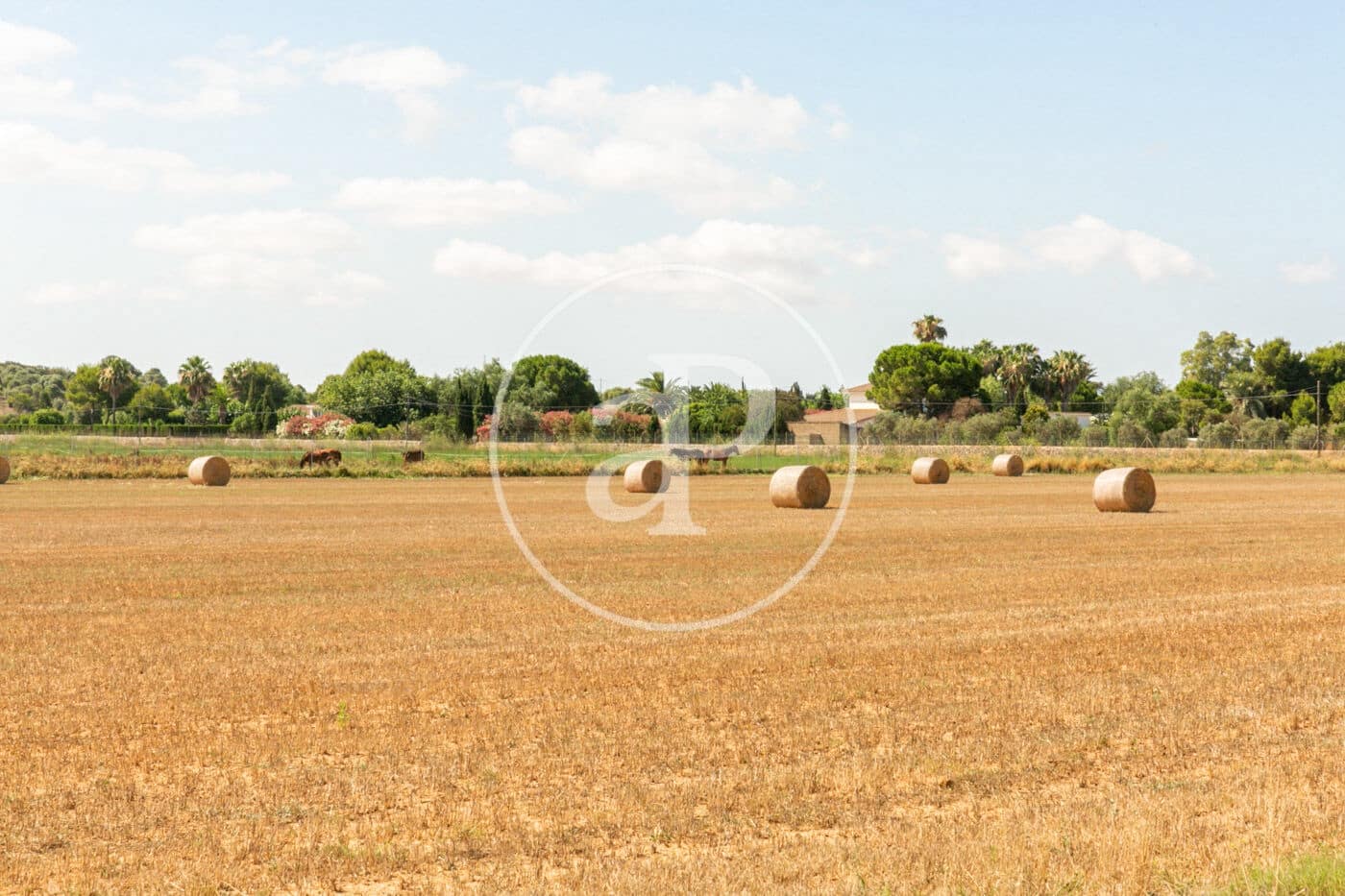 8 soverom Villa til salgs i Sant Jordi - € 2 200 000 (Ref: 8718978)