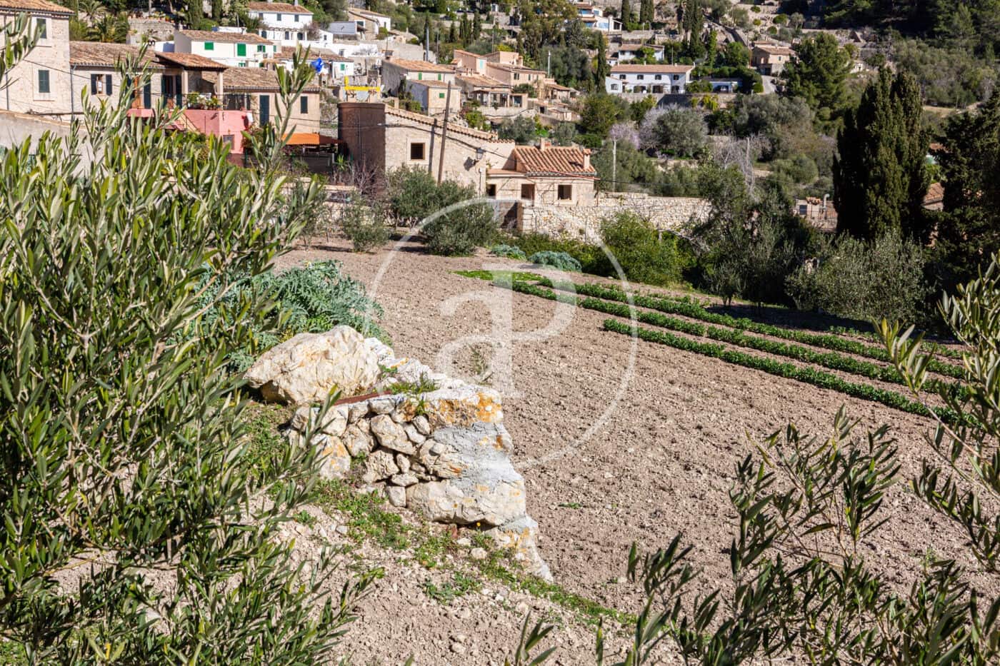 Grunde uden byggetilladelser til salg i Puigpunyent - € 280.000 (Ref: 8718986)