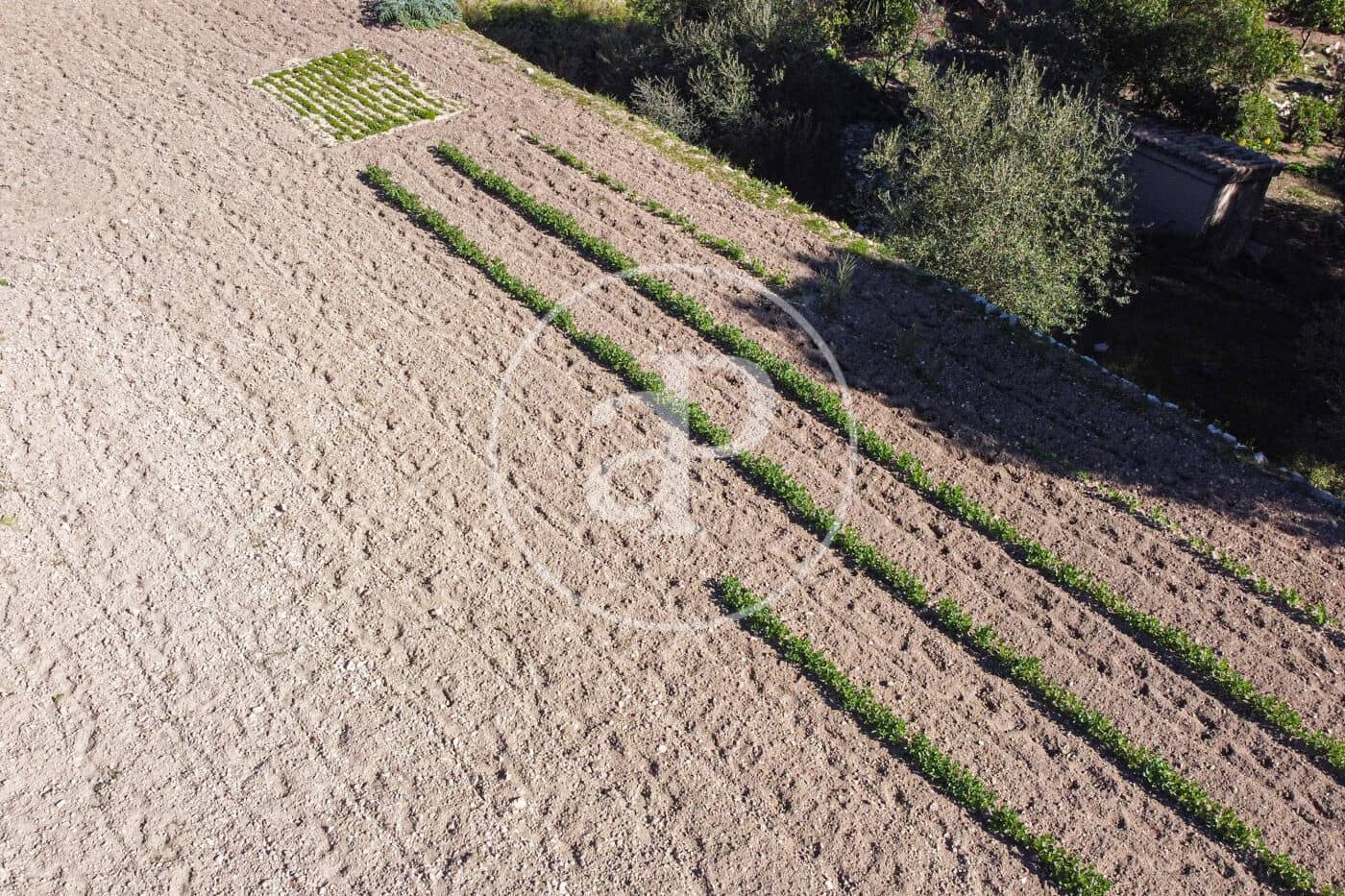 Grunde uden byggetilladelser til salg i Puigpunyent - € 280.000 (Ref: 8718986)