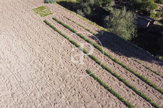 Undeveloped Land for sale in Puigpunyent - € 280,000 (Ref: 8718986)