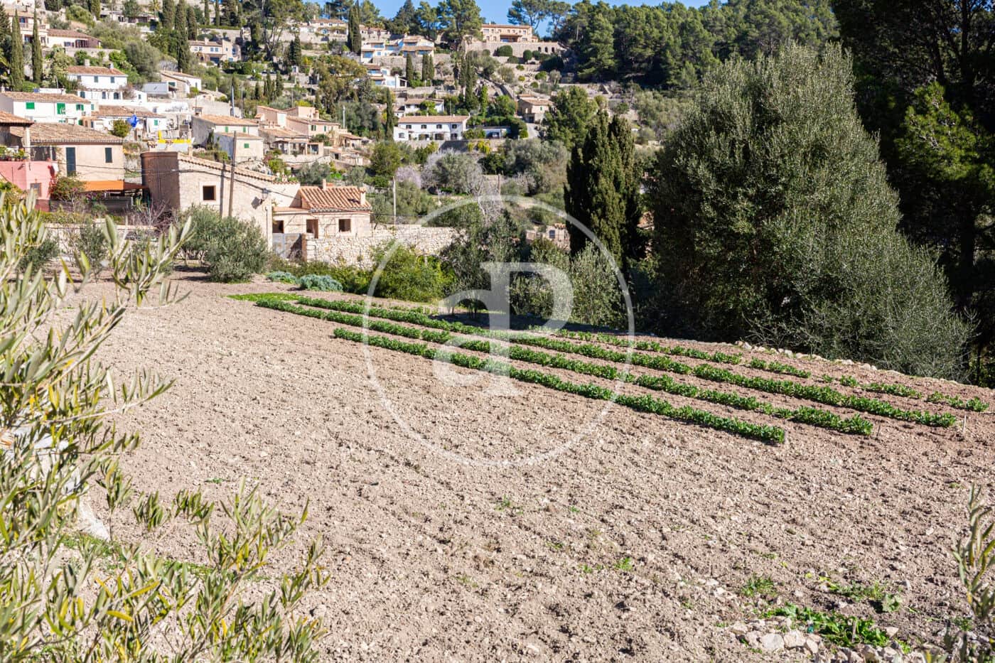 Grunde uden byggetilladelser til salg i Puigpunyent - € 280.000 (Ref: 8718986)