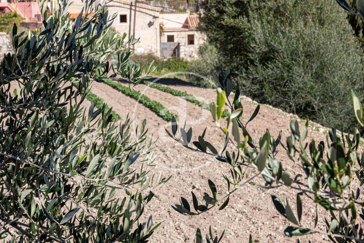 Grunde uden byggetilladelser til salg i Puigpunyent - € 280.000 (Ref: 8718986)