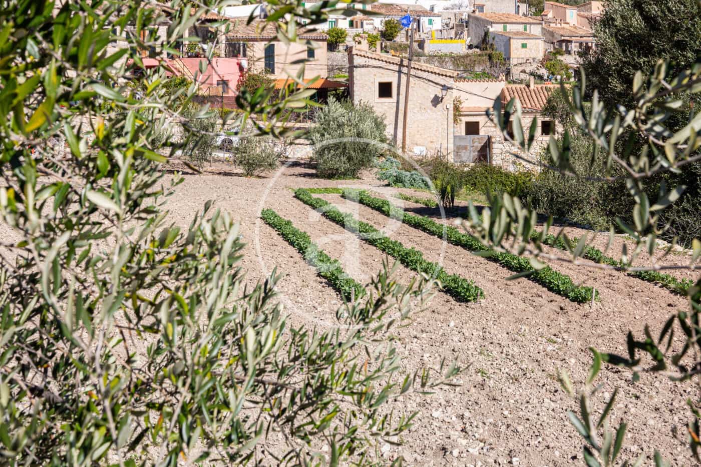 Grunde uden byggetilladelser til salg i Puigpunyent - € 280.000 (Ref: 8718986)