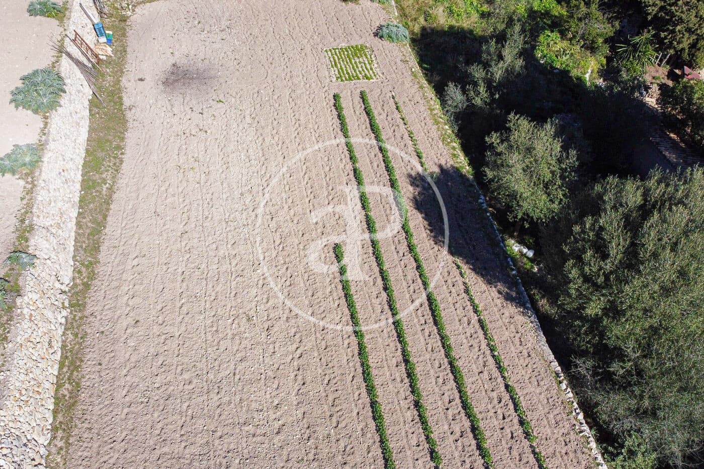 Grunde uden byggetilladelser til salg i Puigpunyent - € 280.000 (Ref: 8718986)