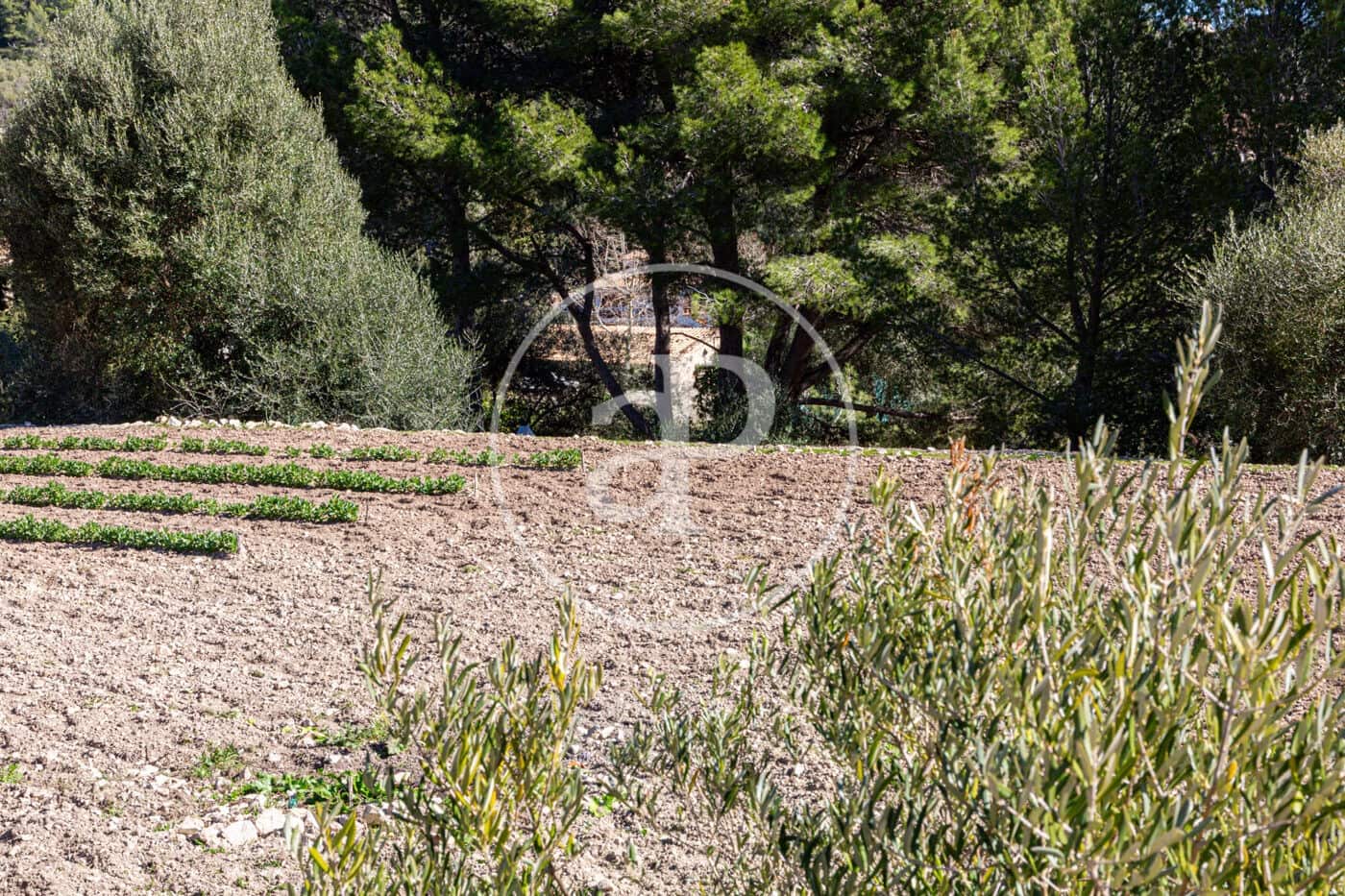 Grunde uden byggetilladelser til salg i Puigpunyent - € 280.000 (Ref: 8718986)