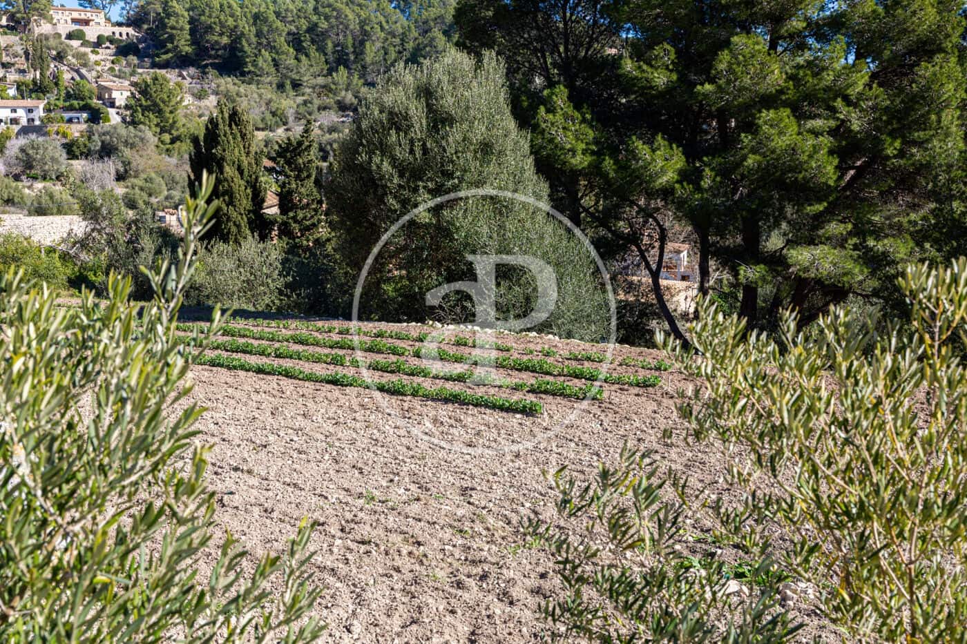 Grunde uden byggetilladelser til salg i Puigpunyent - € 280.000 (Ref: 8718986)