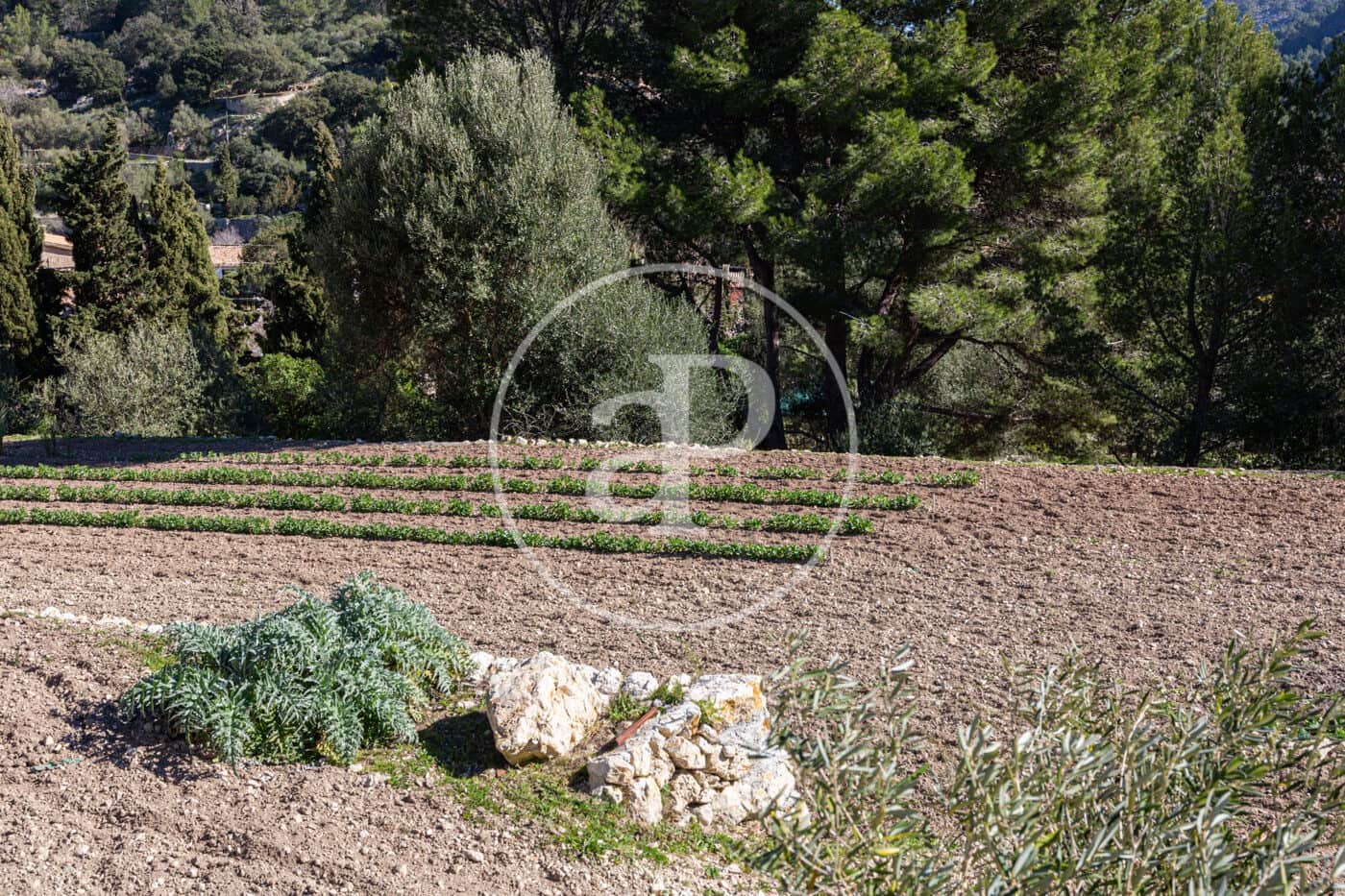 Grunde uden byggetilladelser til salg i Puigpunyent - € 280.000 (Ref: 8718986)