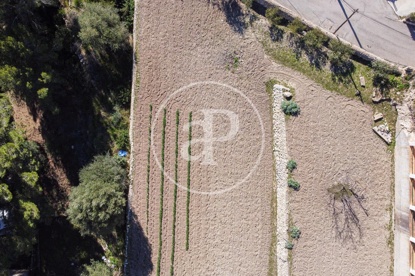 Grunde uden byggetilladelser til salg i Puigpunyent - € 280.000 (Ref: 8718986)