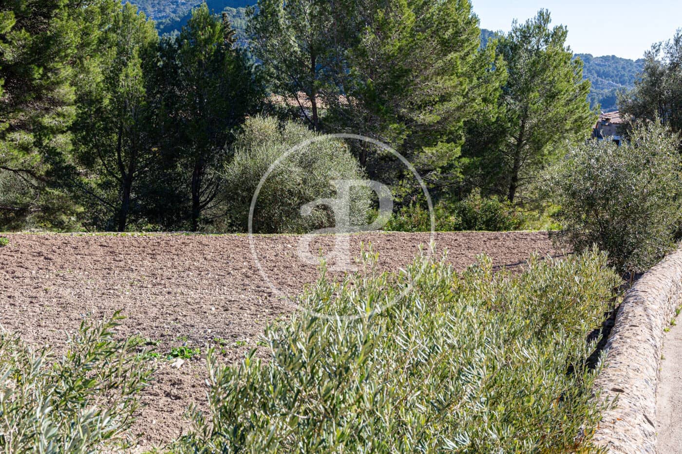 Grunde uden byggetilladelser til salg i Puigpunyent - € 280.000 (Ref: 8718986)