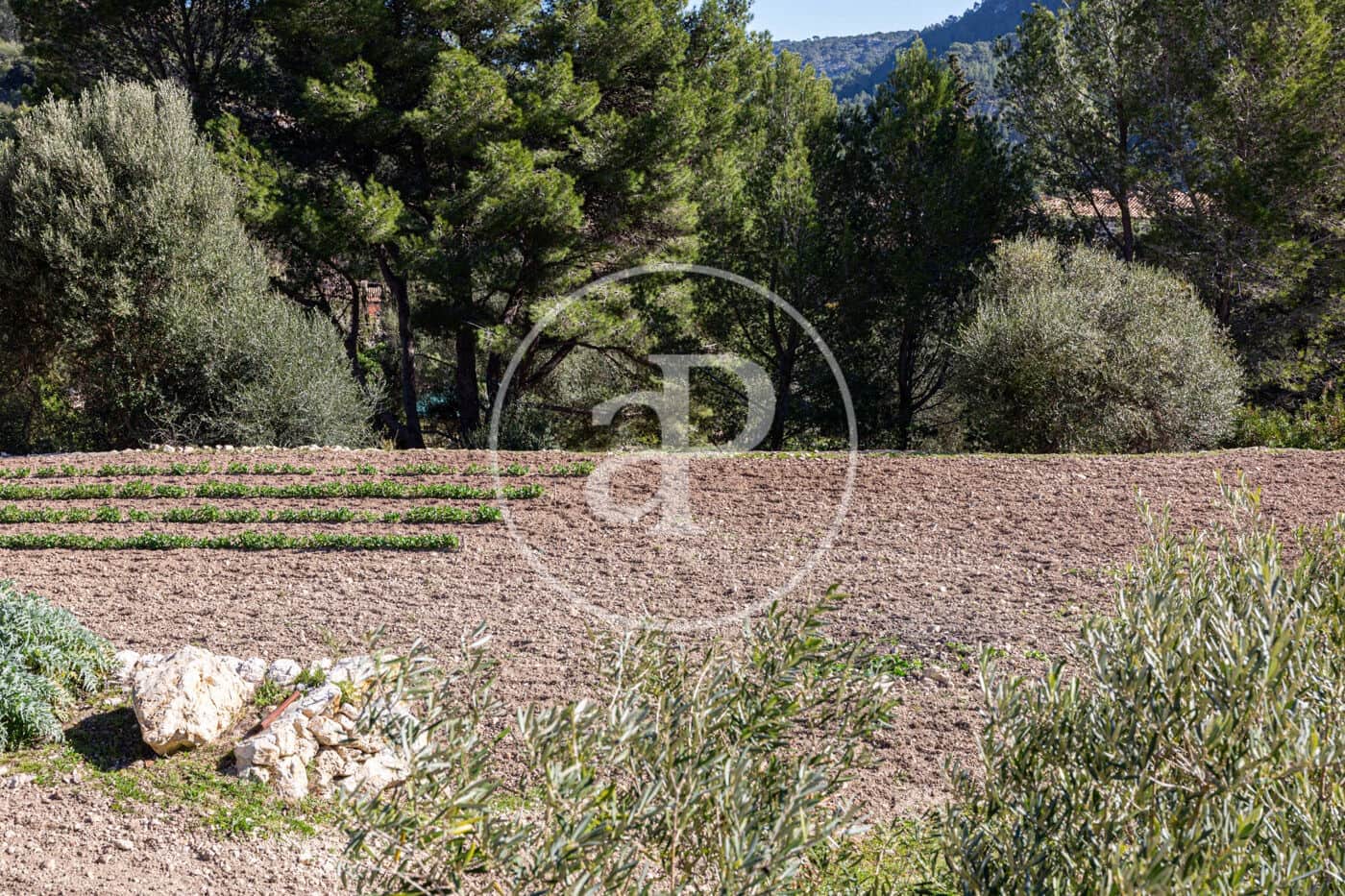 Grunde uden byggetilladelser til salg i Puigpunyent - € 280.000 (Ref: 8718986)