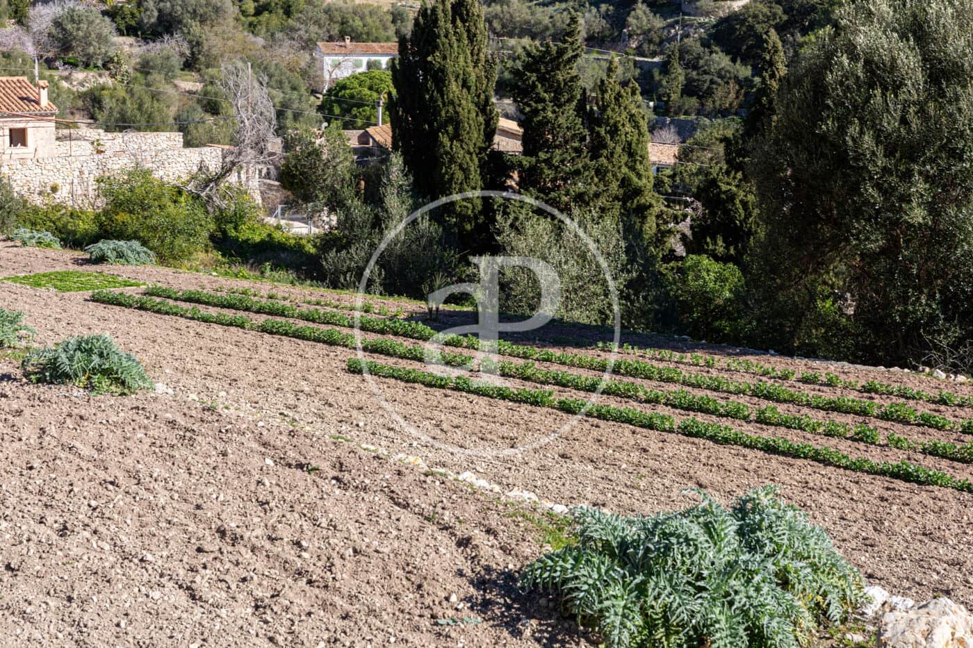 Grunde uden byggetilladelser til salg i Puigpunyent - € 280.000 (Ref: 8718986)