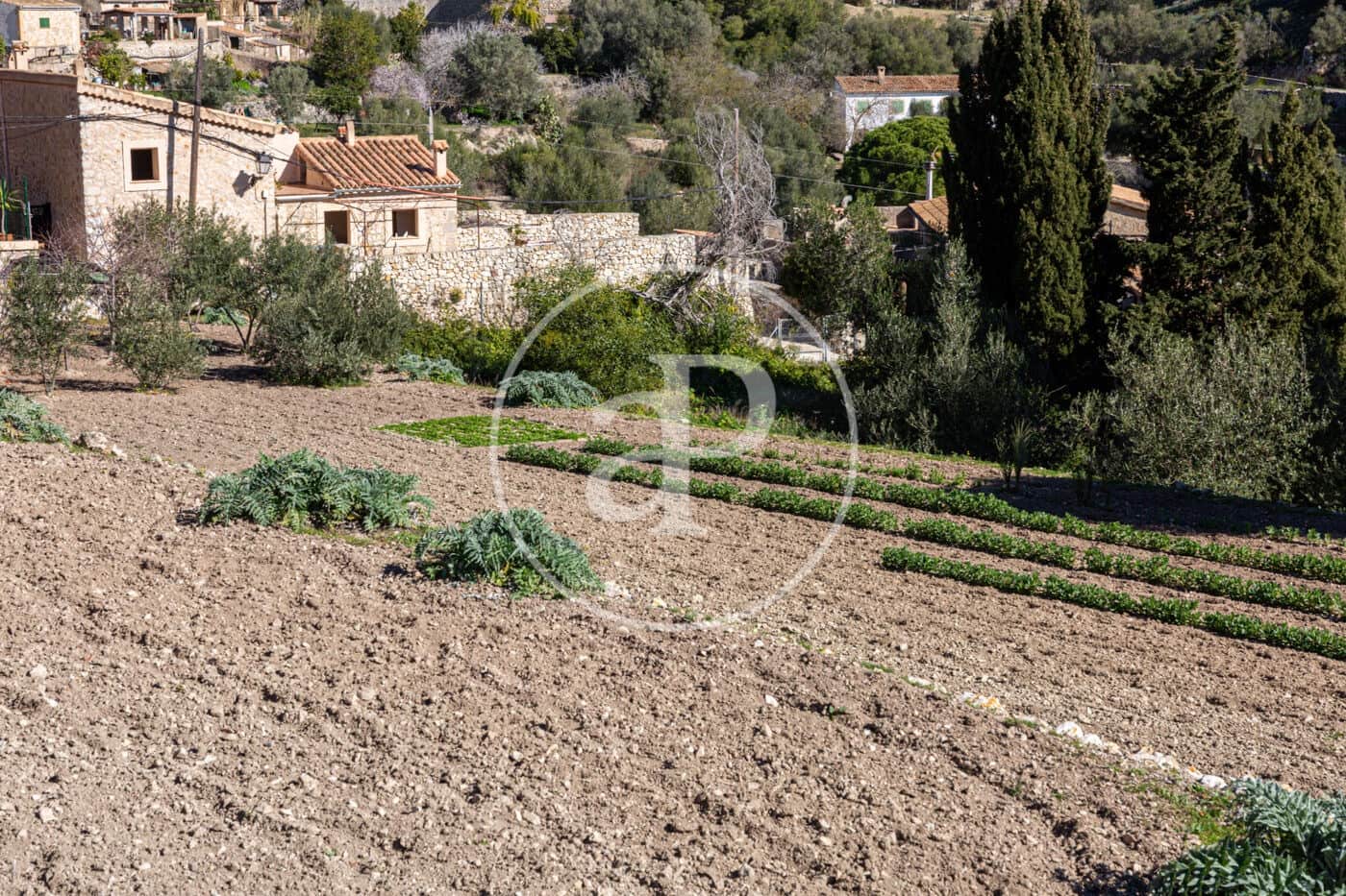 Grunde uden byggetilladelser til salg i Puigpunyent - € 280.000 (Ref: 8718986)