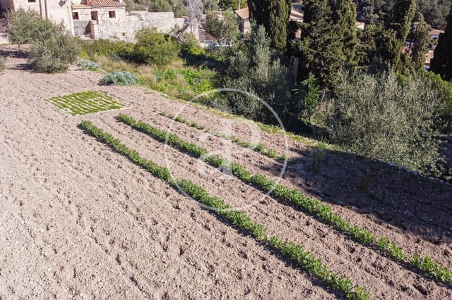 Undeveloped Land for sale in Puigpunyent - € 280,000 (Ref: 8718986)