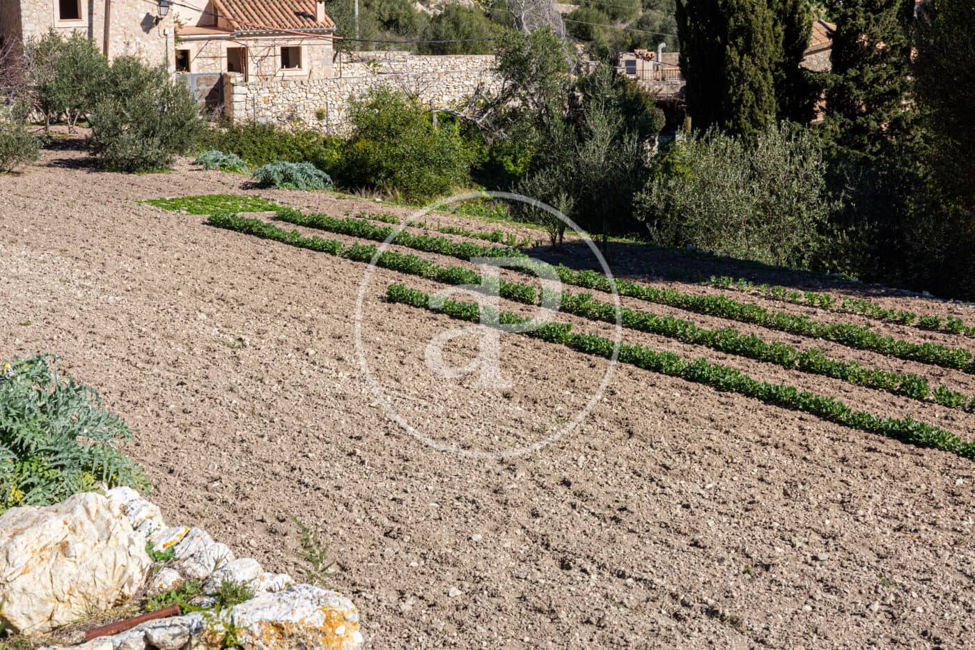 Grunde uden byggetilladelser til salg i Puigpunyent - € 280.000 (Ref: 8718986)