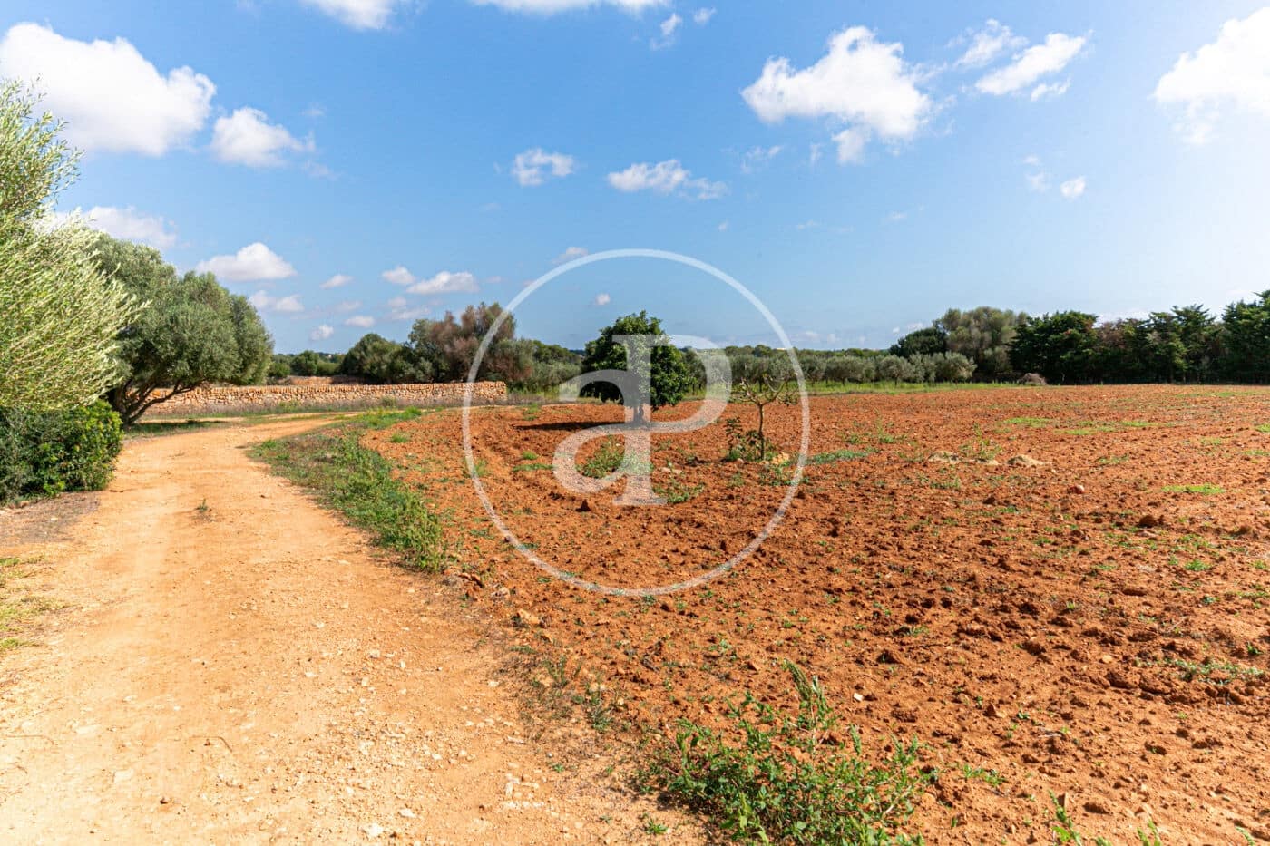 4 chambre Villa/Maison à vendre à Ses Salines avec piscine - 1 450 000 € (Ref: 8718988)