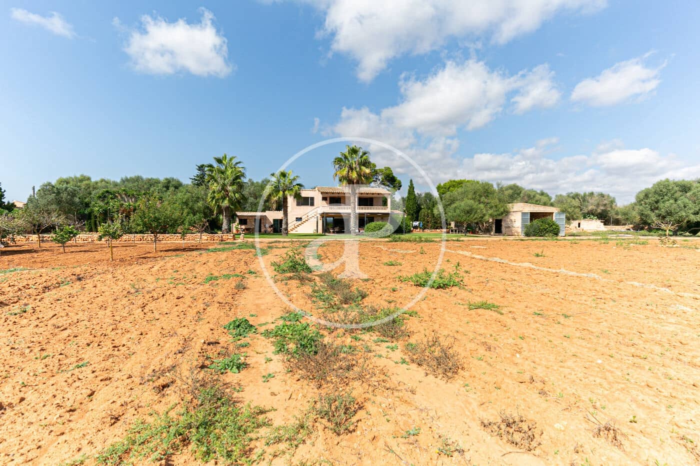 4 chambre Villa/Maison à vendre à Ses Salines avec piscine - 1 450 000 € (Ref: 8718988)