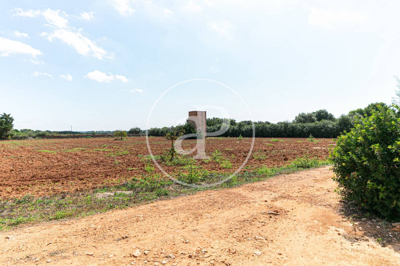 4 chambre Villa/Maison à vendre à Ses Salines avec piscine - 1 450 000 € (Ref: 8718988)