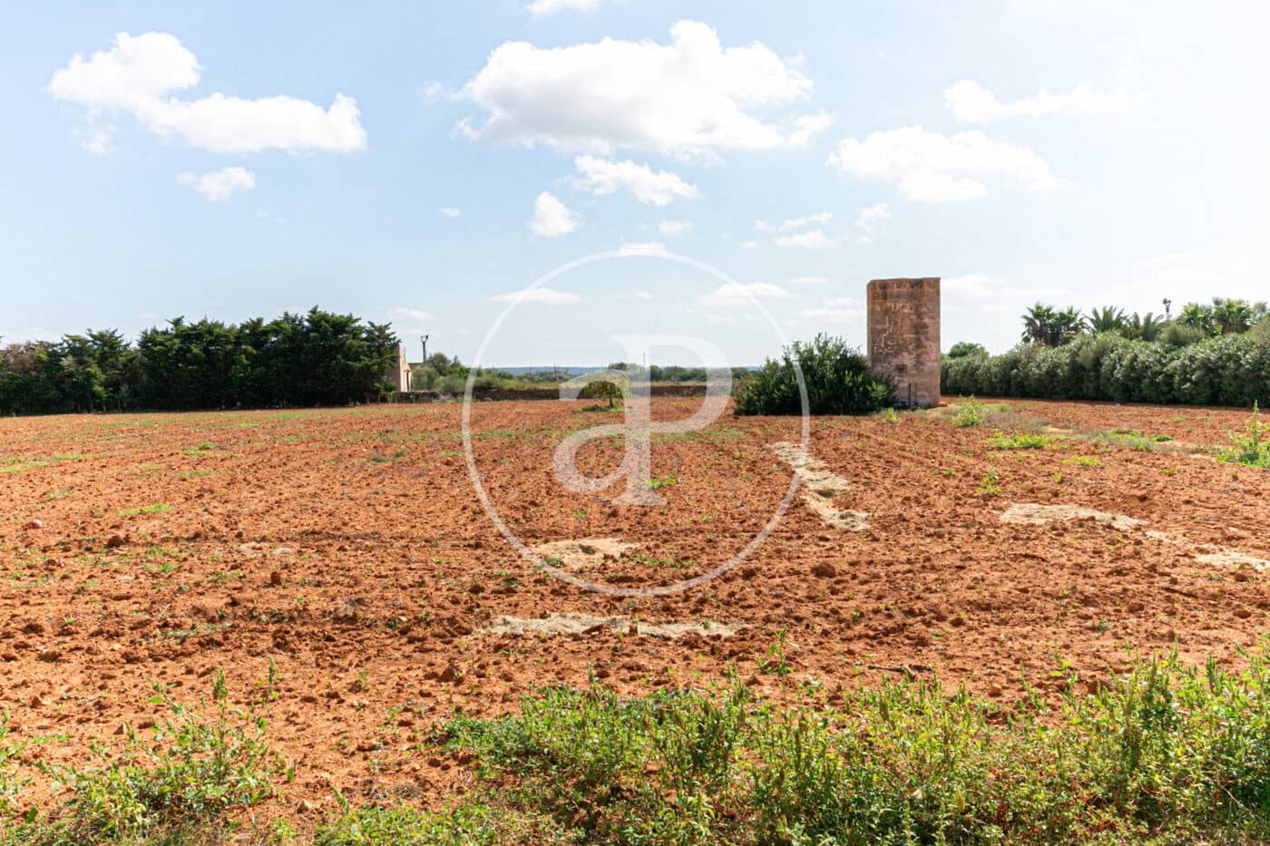 4 chambre Villa/Maison à vendre à Ses Salines avec piscine - 1 450 000 € (Ref: 8718988)