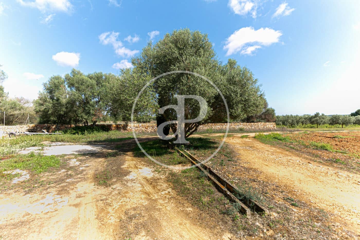 4 chambre Villa/Maison à vendre à Ses Salines avec piscine - 1 450 000 € (Ref: 8718988)