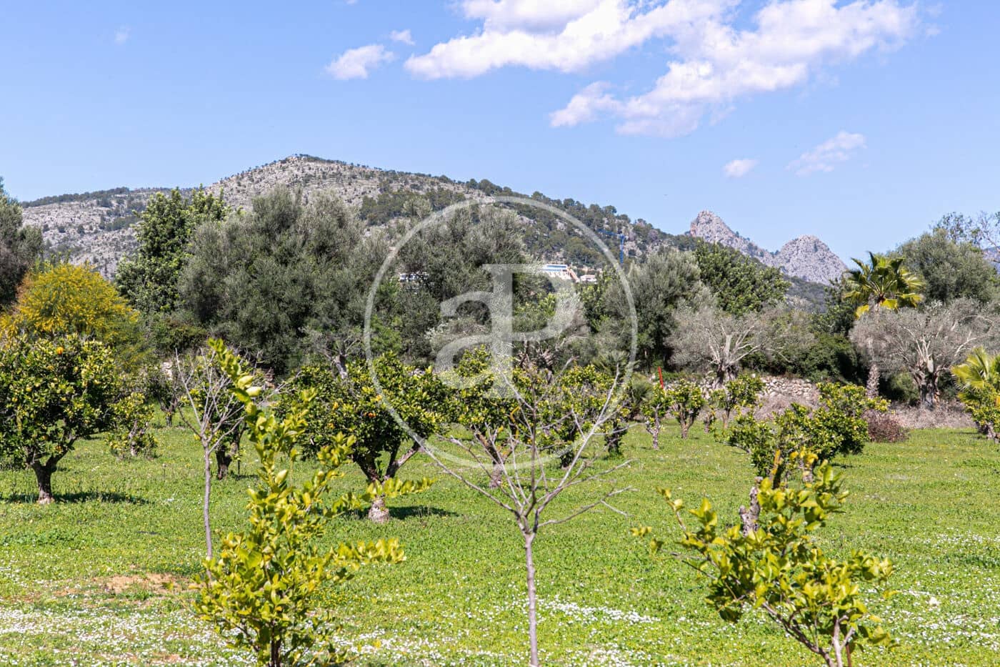 4 sypialnia Willa na sprzedaż w Son Sardina z basenem - 2 600 000 € (Ref: 8718989)