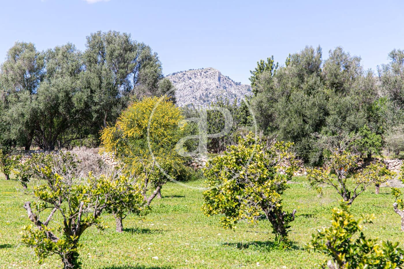 4 sypialnia Willa na sprzedaż w Son Sardina z basenem - 2 600 000 € (Ref: 8718989)