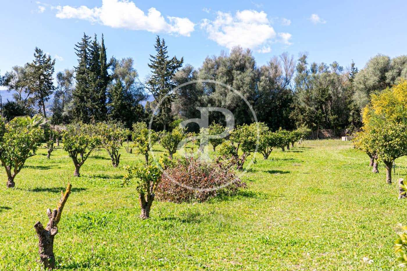 4 sypialnia Willa na sprzedaż w Son Sardina z basenem - 2 600 000 € (Ref: 8718989)