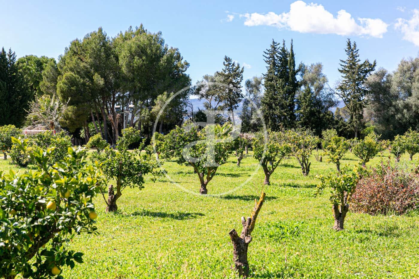 4 sypialnia Willa na sprzedaż w Son Sardina z basenem - 2 600 000 € (Ref: 8718989)