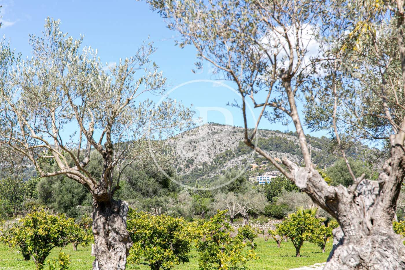 4 sypialnia Willa na sprzedaż w Son Sardina z basenem - 2 600 000 € (Ref: 8718989)