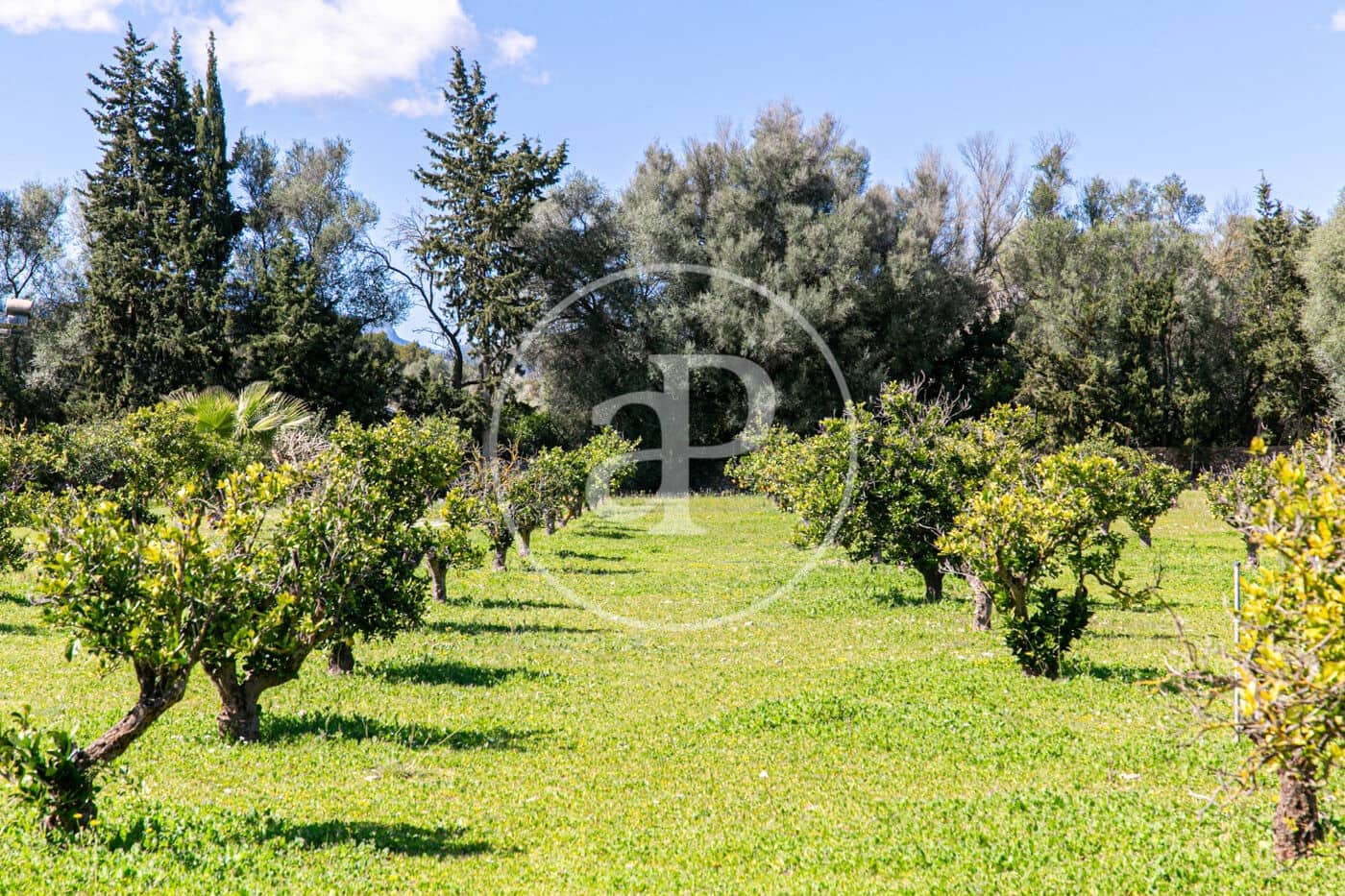 4 sypialnia Willa na sprzedaż w Son Sardina z basenem - 2 600 000 € (Ref: 8718989)