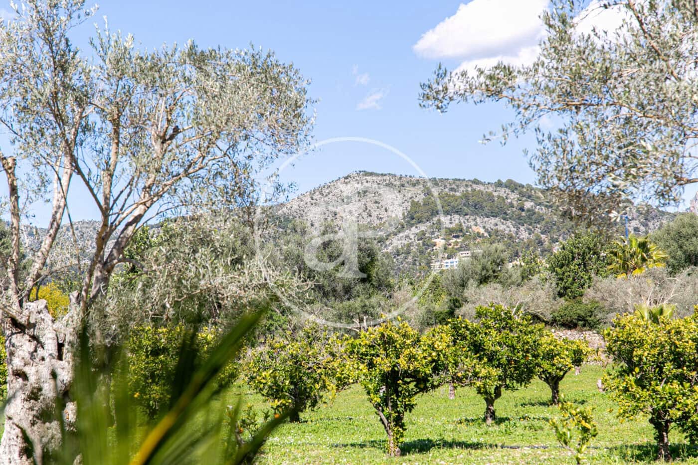 4 sypialnia Willa na sprzedaż w Son Sardina z basenem - 2 600 000 € (Ref: 8718989)