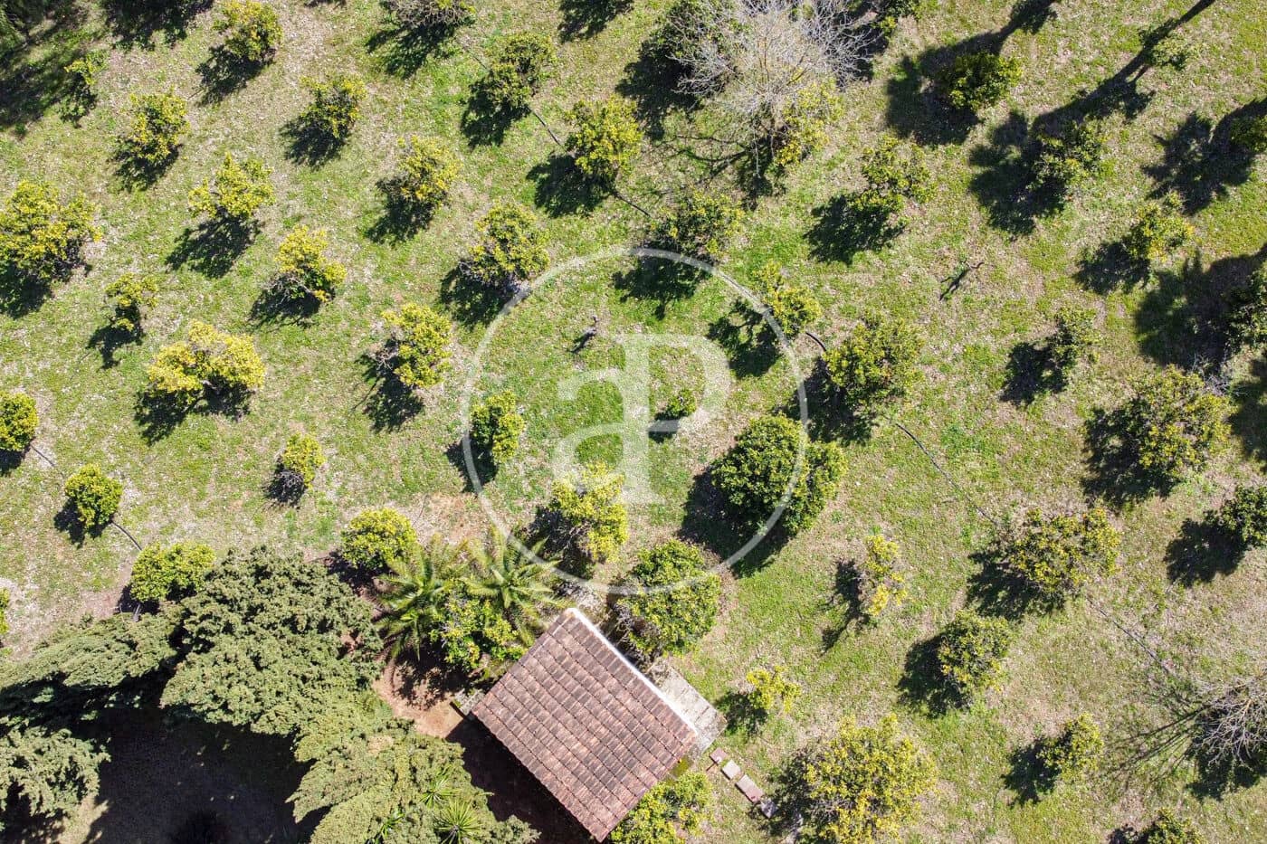 4 sypialnia Willa na sprzedaż w Son Sardina z basenem - 2 600 000 € (Ref: 8718989)