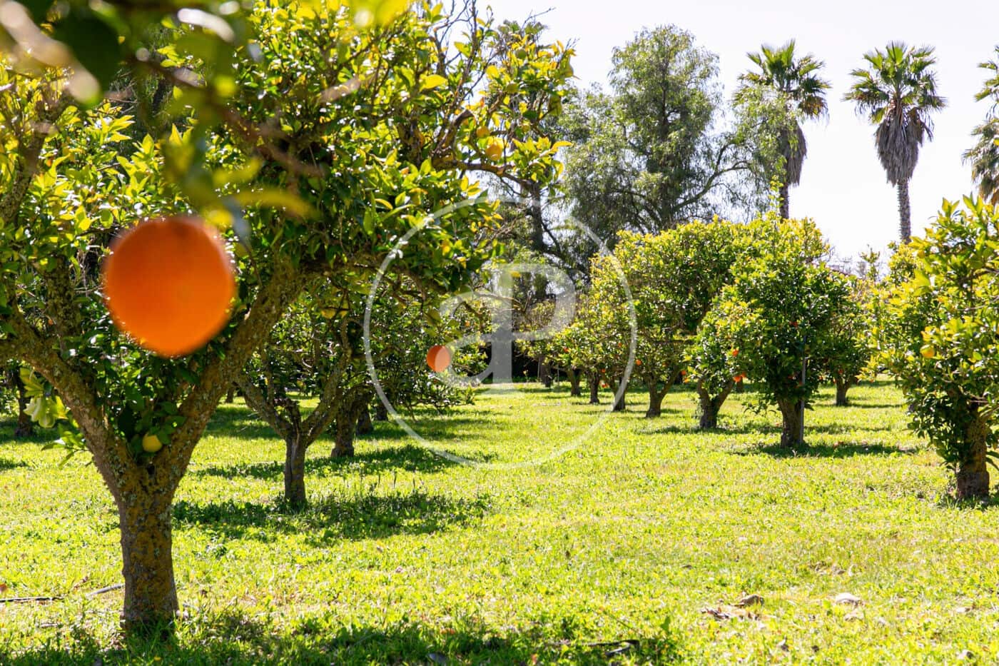 4 sypialnia Willa na sprzedaż w Son Sardina z basenem - 2 600 000 € (Ref: 8718989)