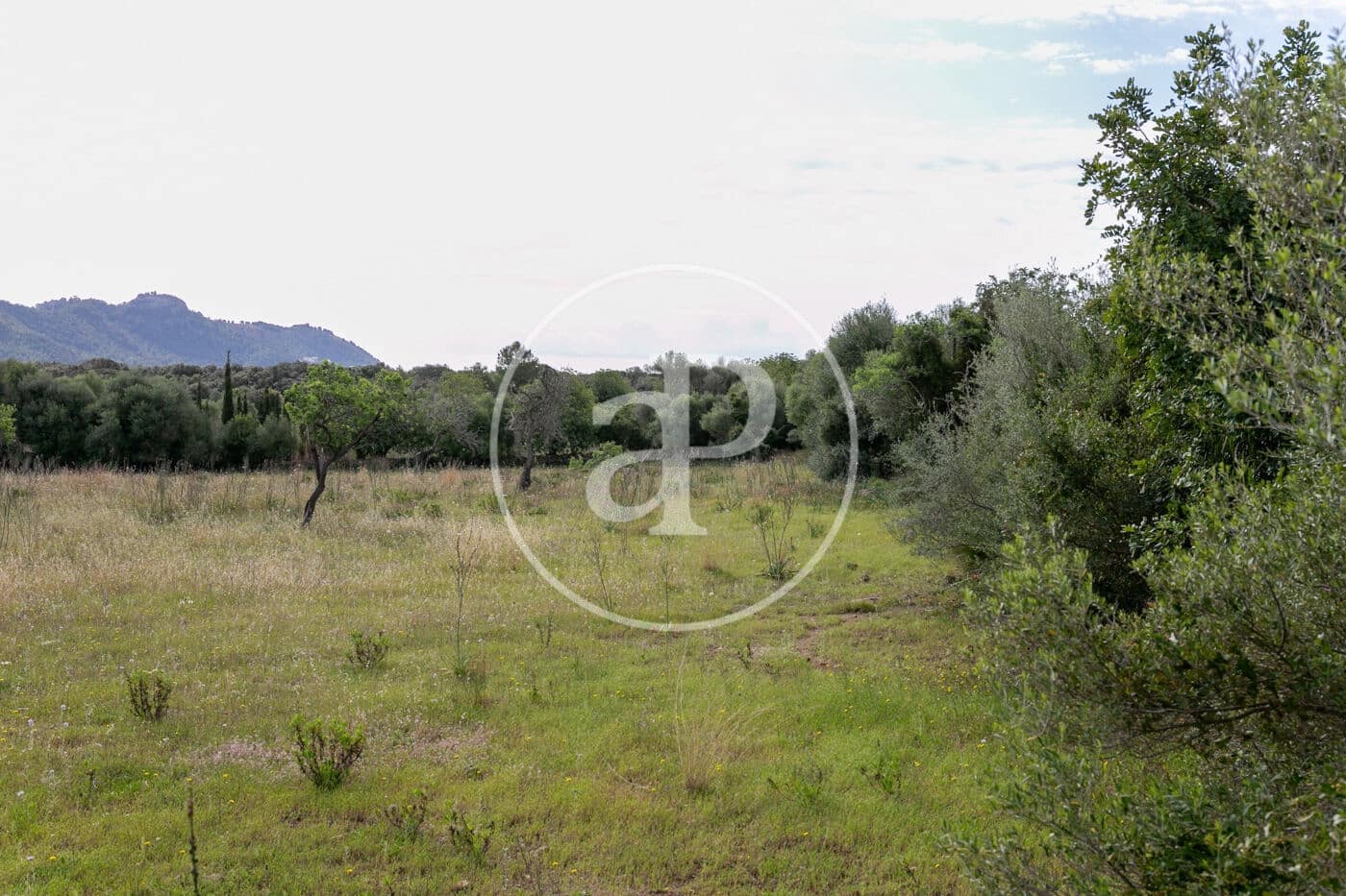 Undeveloped Land for sale in Colonia de Sant Pere / Colonia de San Pedro - € 3,500,000 (Ref: 8719032)