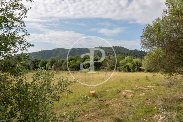 Grunde uden byggetilladelser til salg i Colonia de Sant Pere / Colonia de San Pedro, Artà - € 3.500.000 (Ref: 8719032)