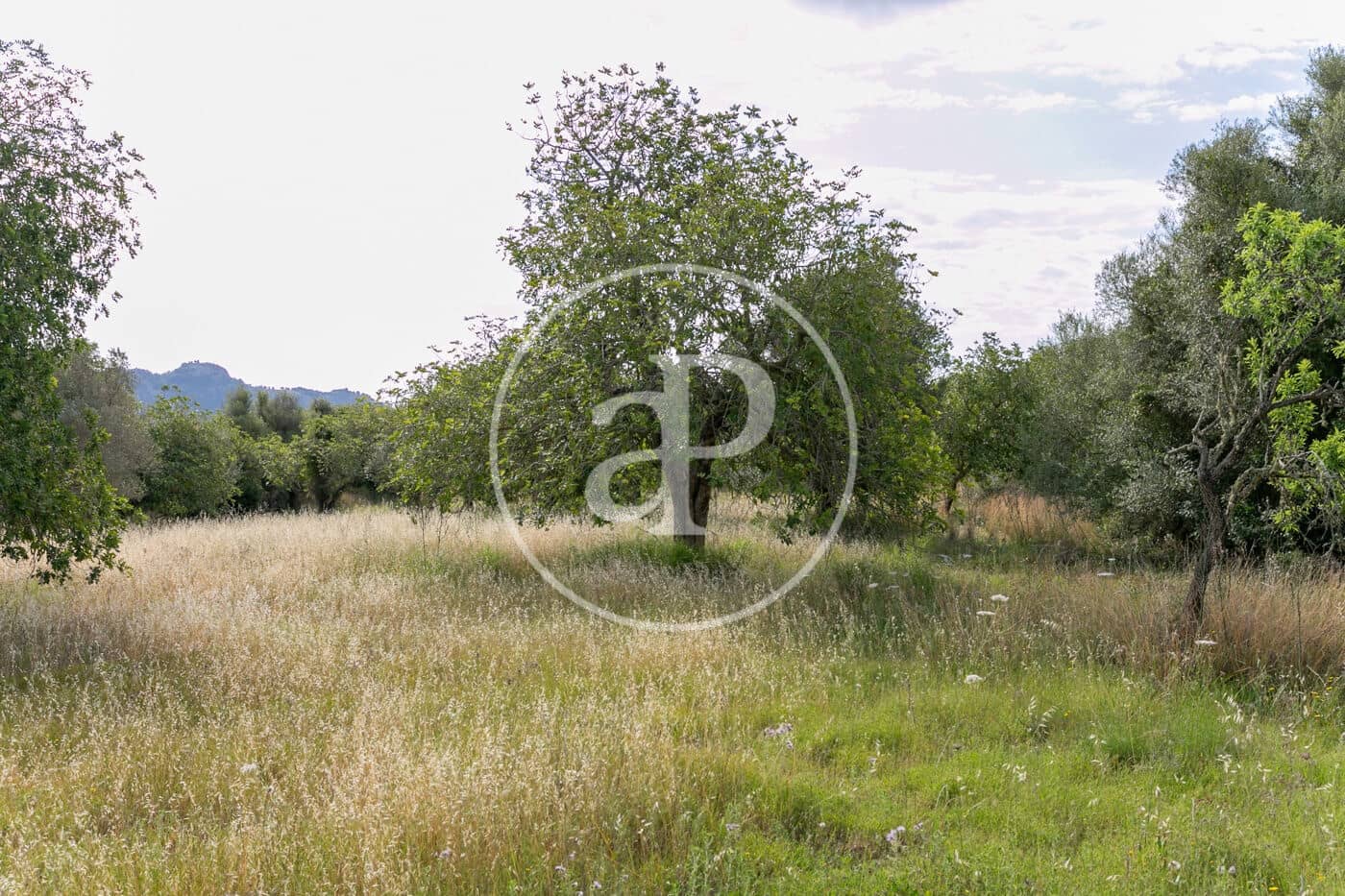 Undeveloped Land for sale in Colonia de Sant Pere / Colonia de San Pedro - € 3,500,000 (Ref: 8719032)