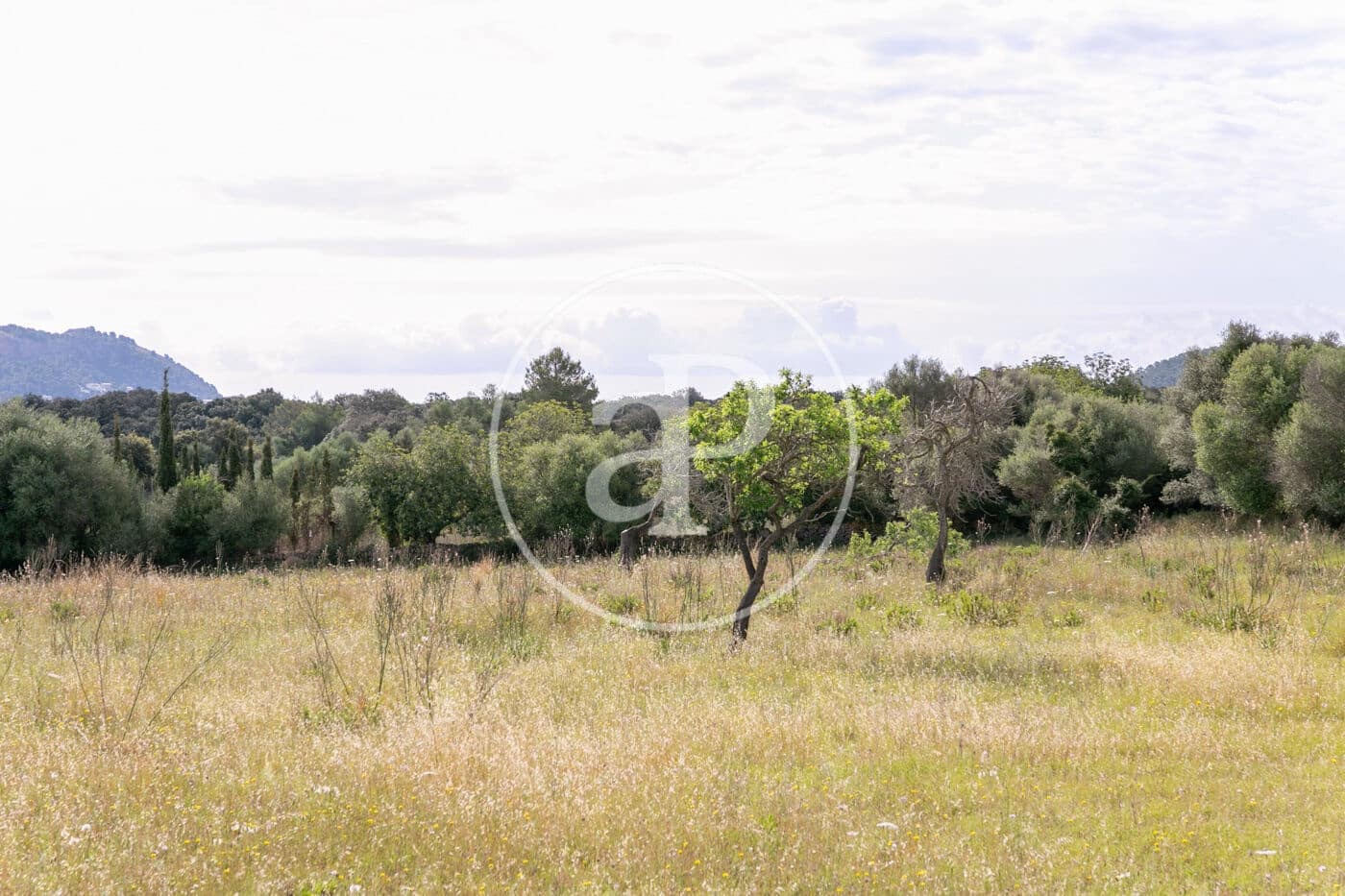 Undeveloped Land for sale in Colonia de Sant Pere / Colonia de San Pedro - € 3,500,000 (Ref: 8719032)