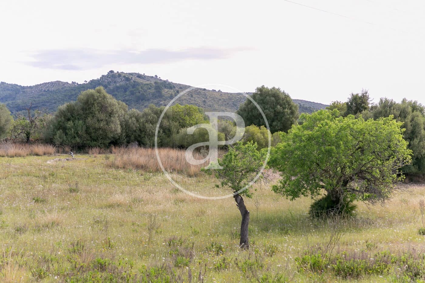 Undeveloped Land for sale in Colonia de Sant Pere / Colonia de San Pedro - € 3,500,000 (Ref: 8719032)