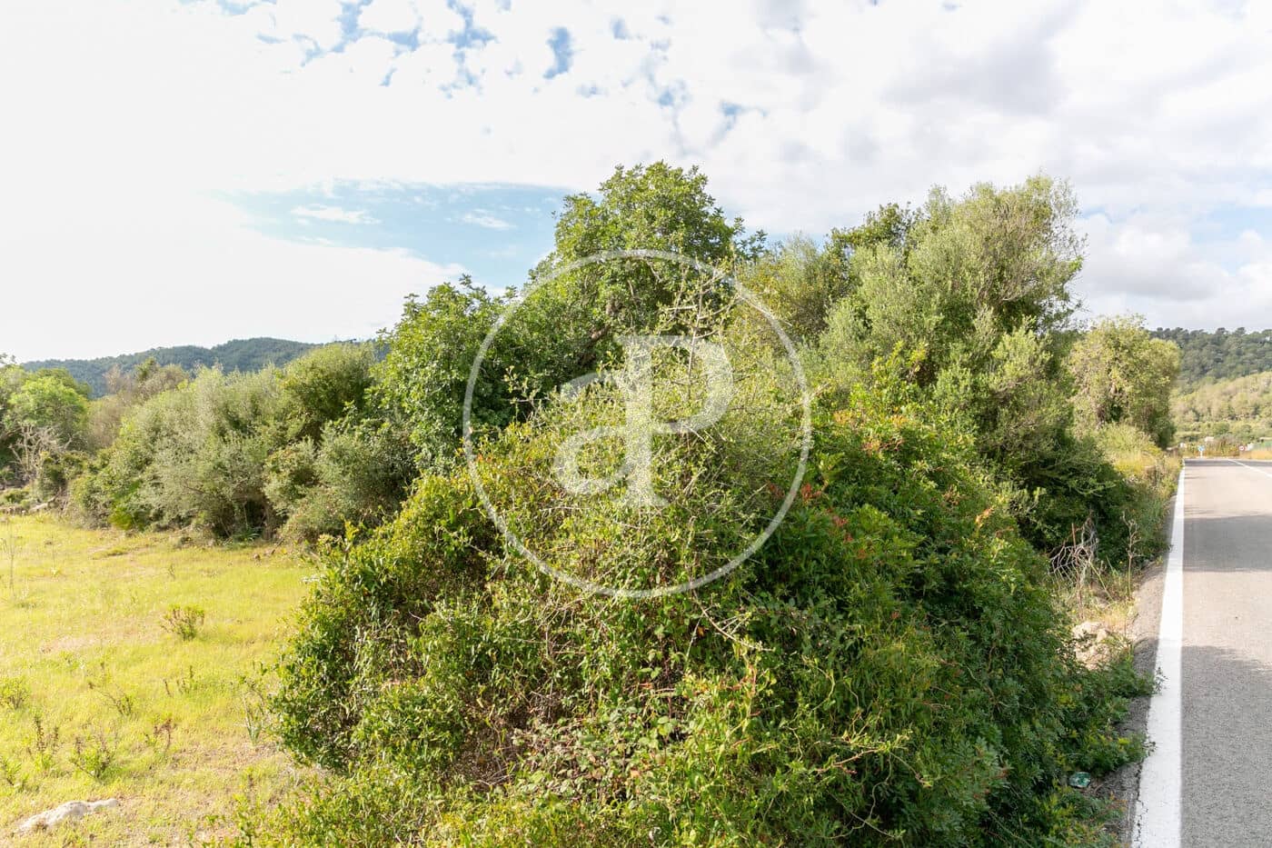 Undeveloped Land for sale in Colonia de Sant Pere / Colonia de San Pedro - € 3,500,000 (Ref: 8719032)