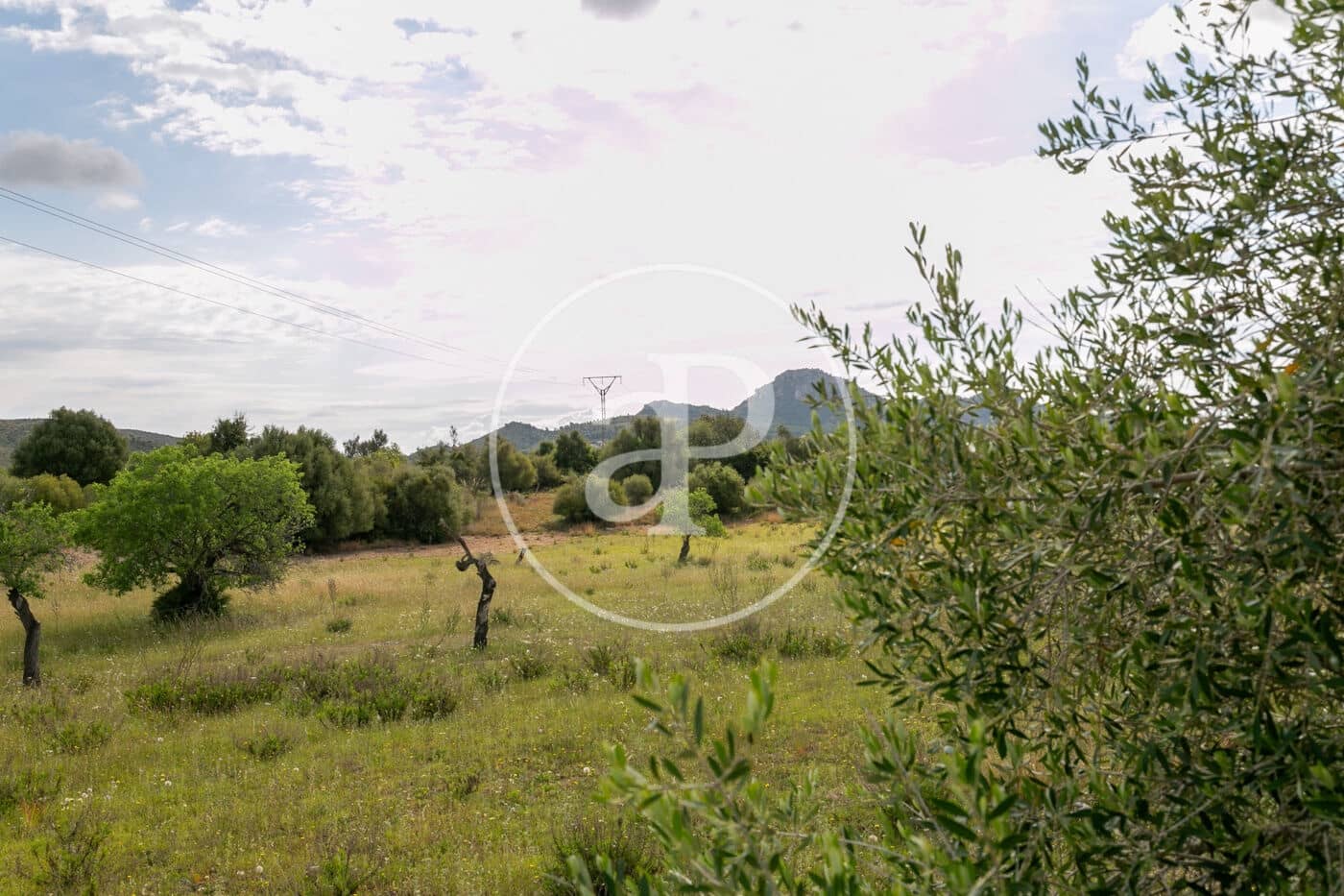Undeveloped Land for sale in Colonia de Sant Pere / Colonia de San Pedro - € 3,500,000 (Ref: 8719032)