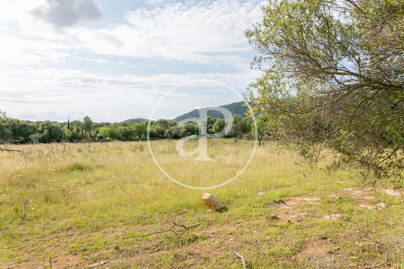 Undeveloped Land for sale in Colonia de Sant Pere / Colonia de San Pedro - € 3,500,000 (Ref: 8719032)