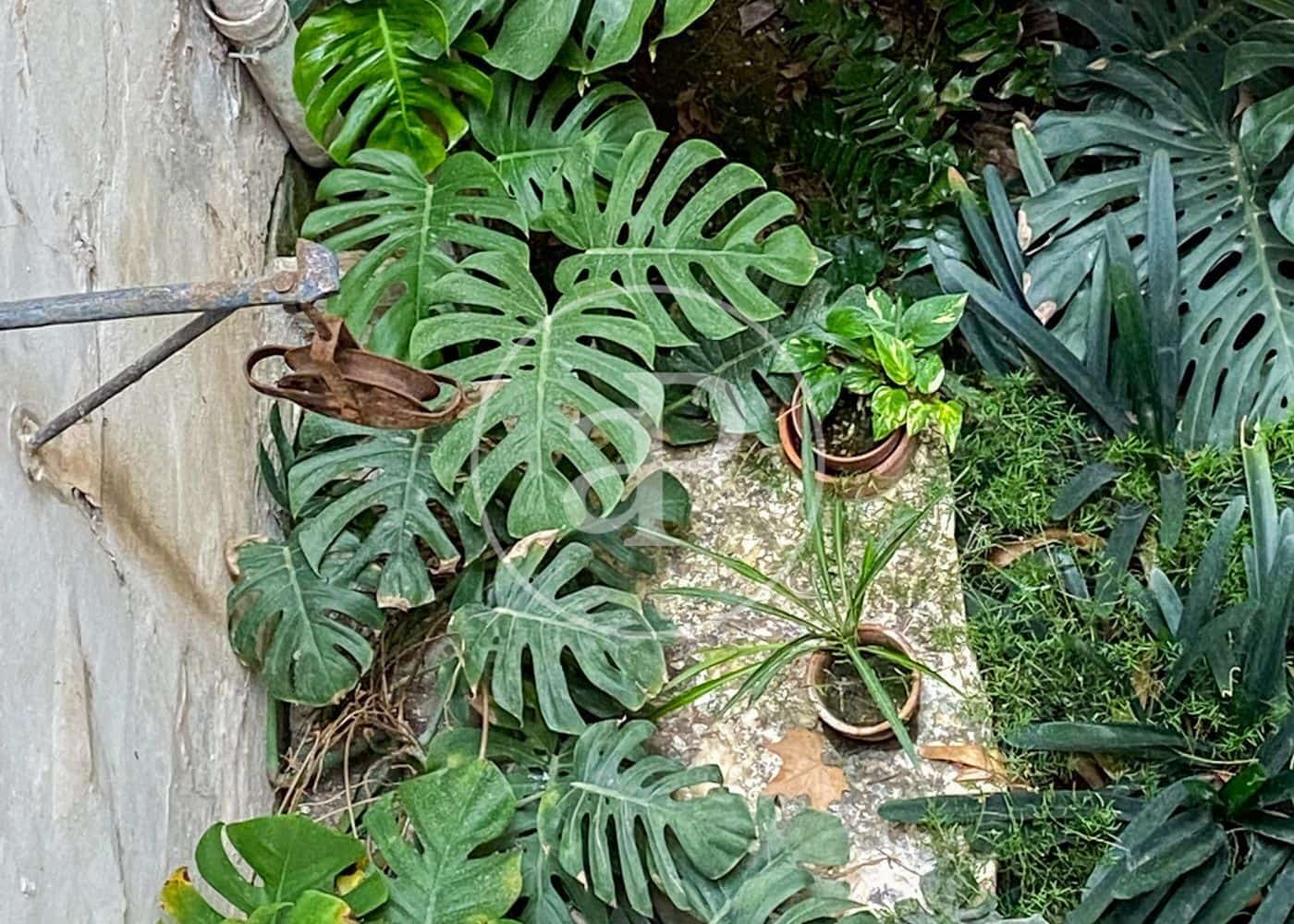 15 sypialnia Willa na sprzedaż w Palma de Mallorca - 3 430 000 € (Ref: 8719041)