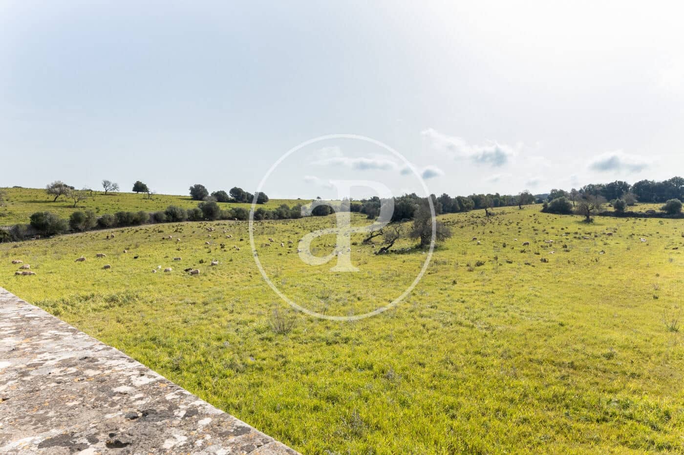 20 quarto Quinta/Casa Rural para venda em Algaida com piscina - 4 200 000 € (Ref: 8719049)