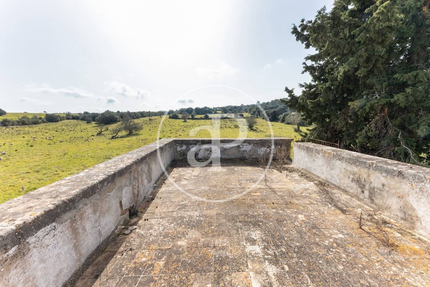 20 quarto Quinta/Casa Rural para venda em Algaida com piscina - 4 200 000 € (Ref: 8719049)