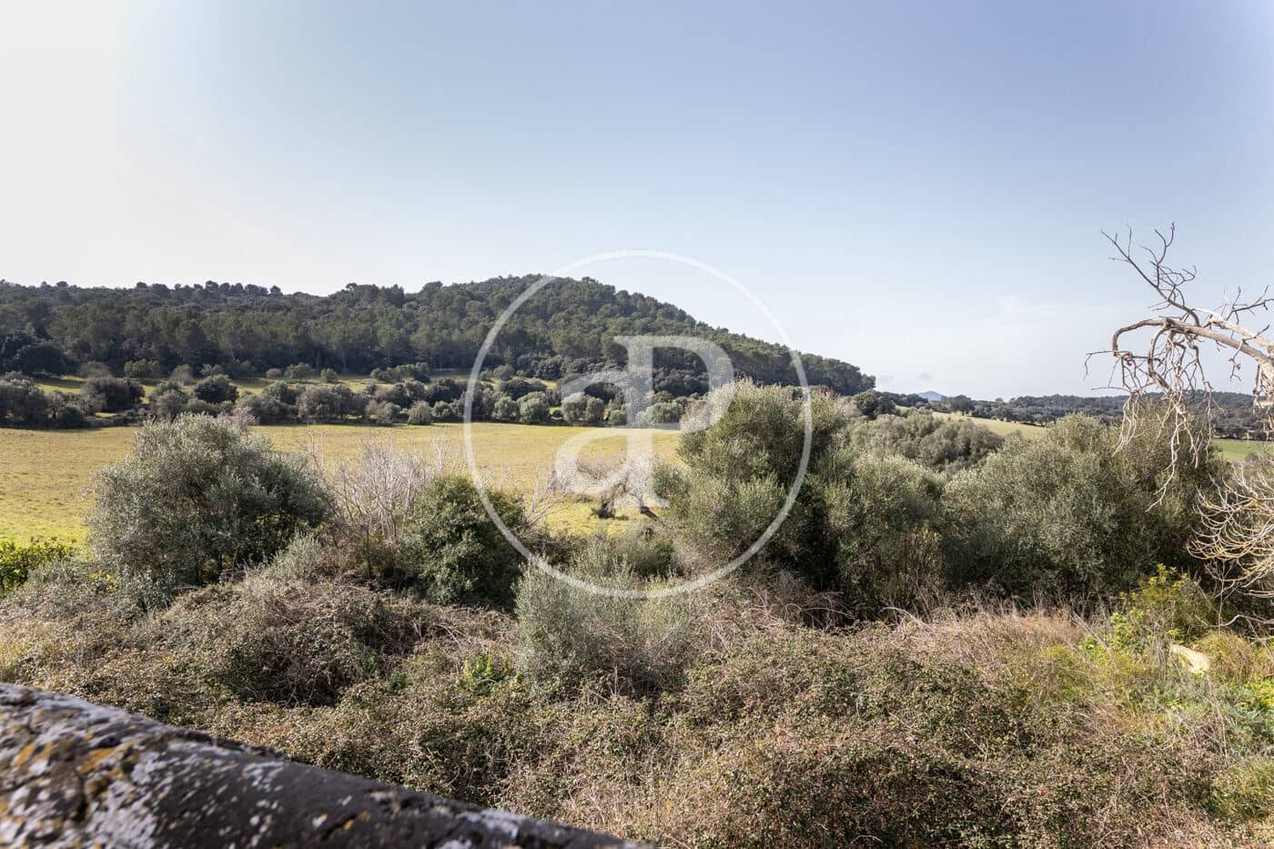 20 quarto Quinta/Casa Rural para venda em Algaida com piscina - 4 200 000 € (Ref: 8719049)