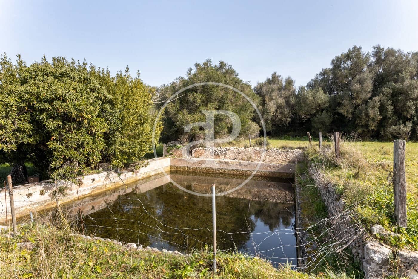 20 quarto Quinta/Casa Rural para venda em Algaida com piscina - 4 200 000 € (Ref: 8719049)