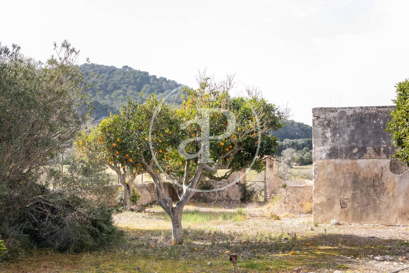 20 quarto Quinta/Casa Rural para venda em Algaida com piscina - 4 200 000 € (Ref: 8719049)