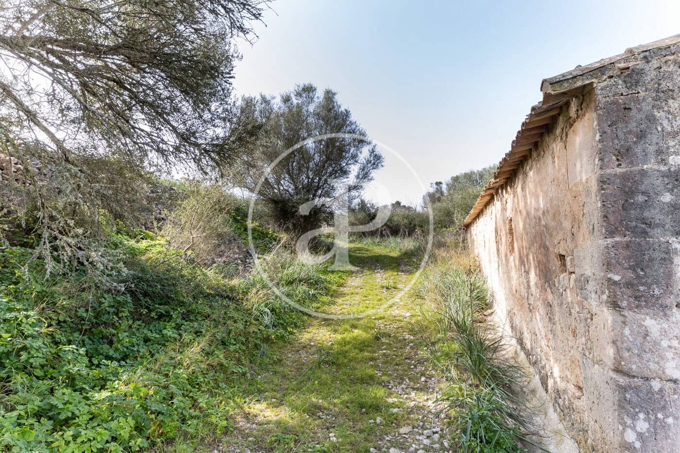 20 quarto Quinta/Casa Rural para venda em Algaida com piscina - 4 200 000 € (Ref: 8719049)