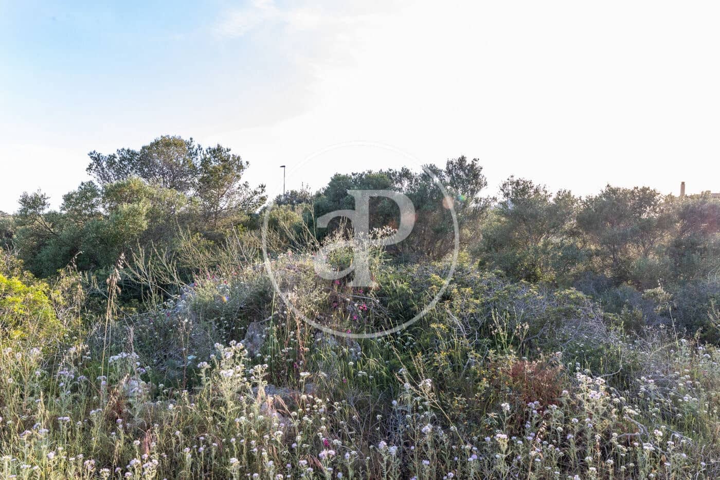 Grond te koop in Calas de Mallorca - € 140.000 (Ref: 8719055)