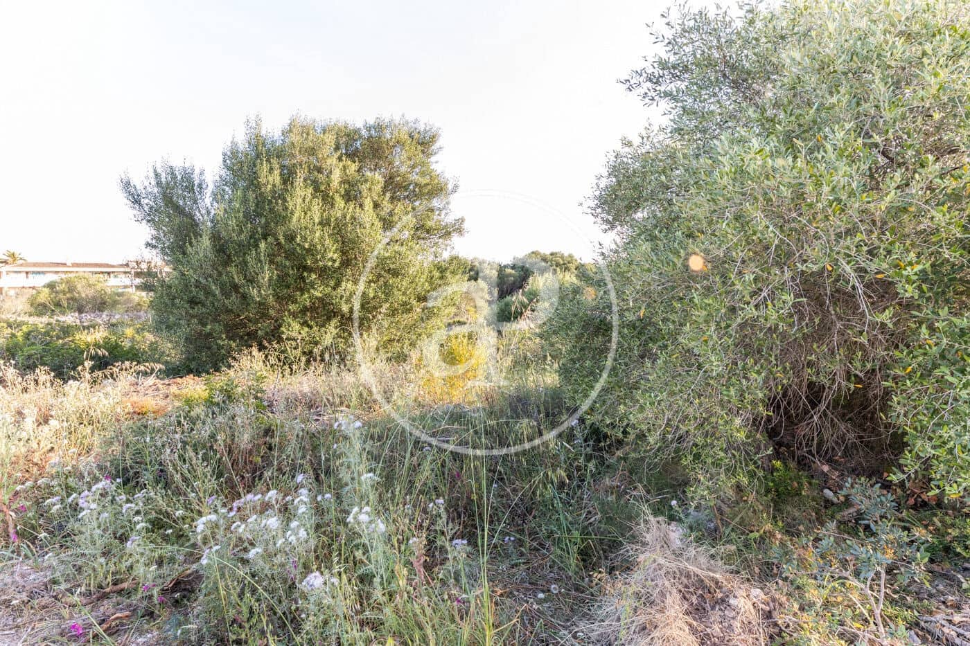 Grond te koop in Calas de Mallorca - € 140.000 (Ref: 8719055)