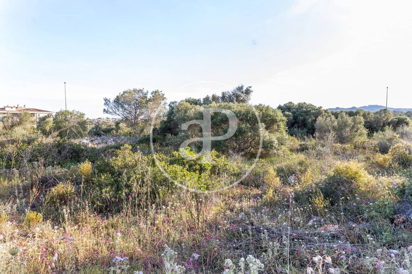 Grond te koop in Calas de Mallorca - € 140.000 (Ref: 8719055)